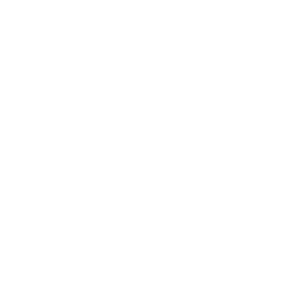 image of longford tourism logo
