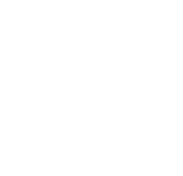 image of creative ireland logo